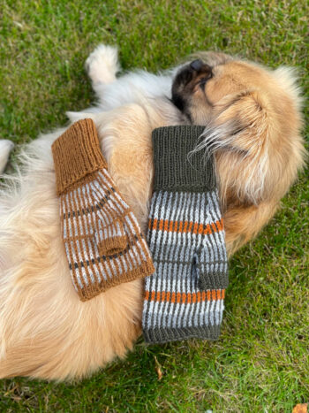 Lillestripe pulsvanter