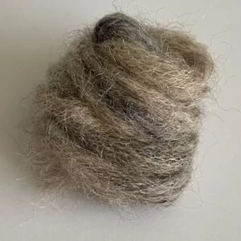 Gepard Puno - 11 Beige & Blue's - SPICY