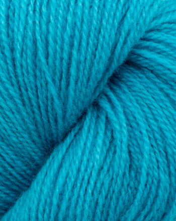 Hillesvåg Ask - 6031 Blåturkis