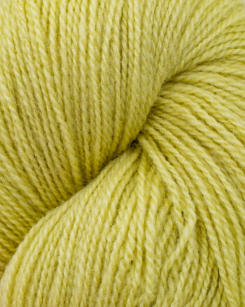 Hillesvåg Ask - 6120 Lys Lime